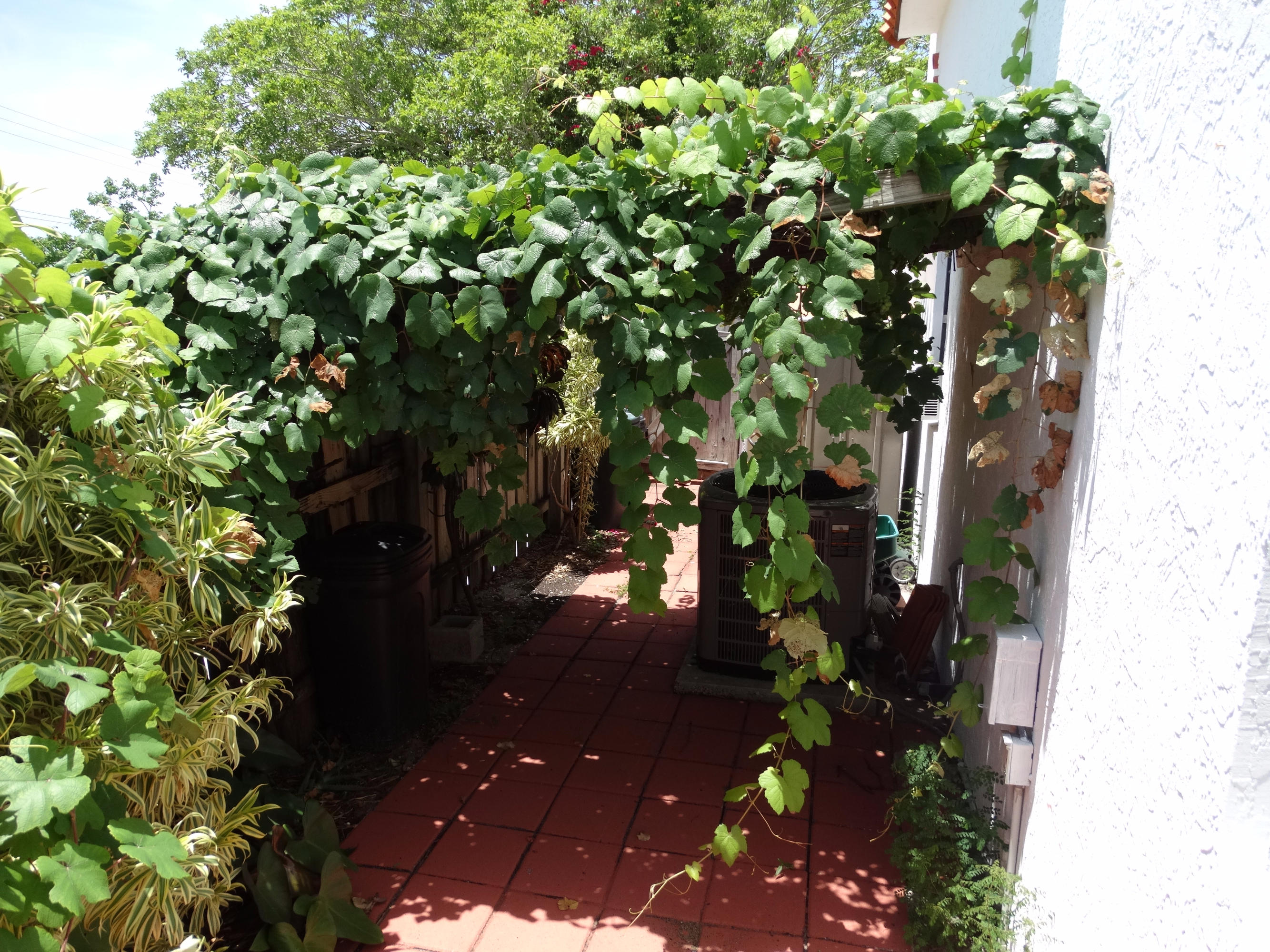 490 Neptune Road Juno Beach, FL 33408 - Photo 17 of 22 Rear