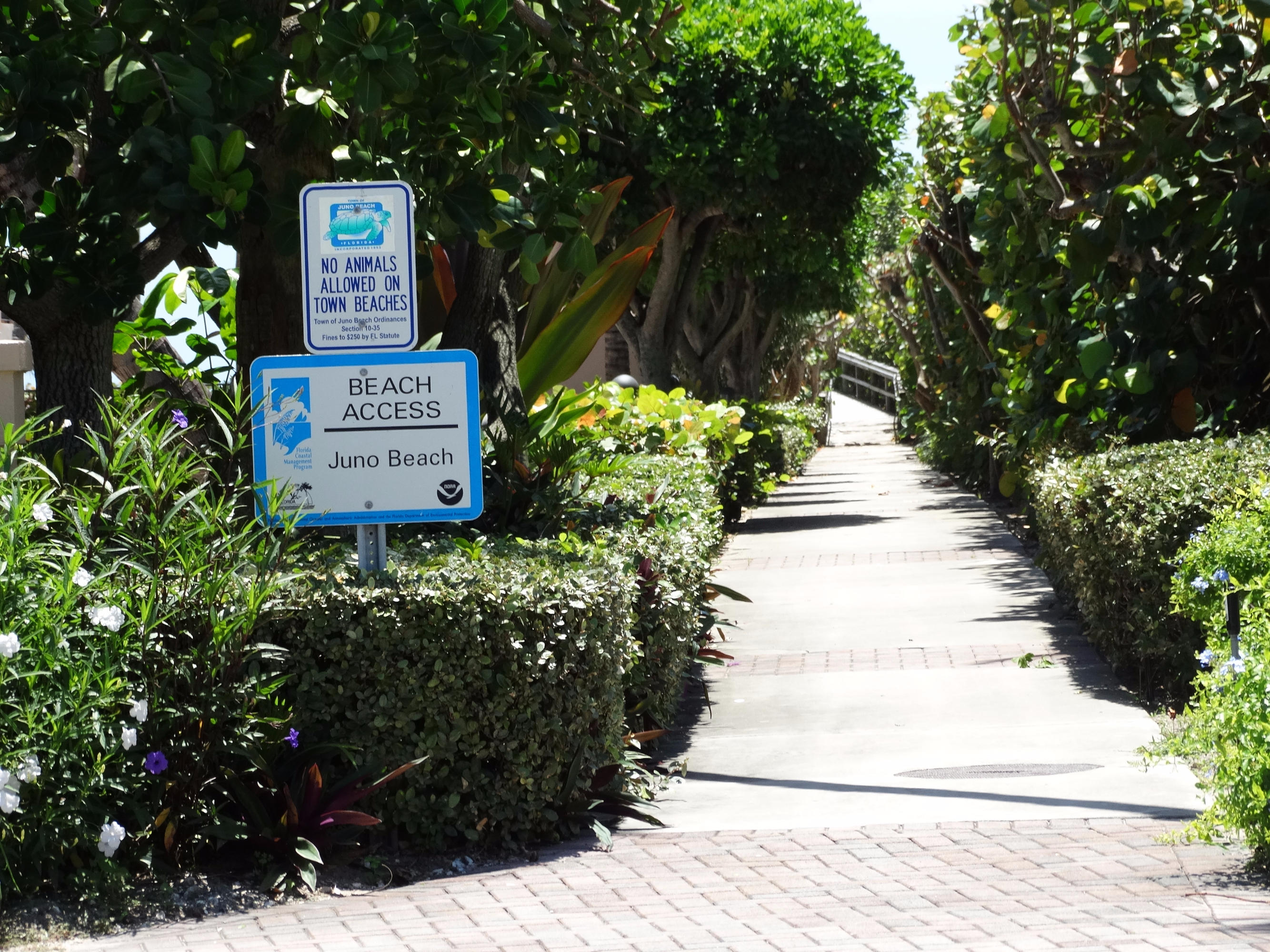 490 Neptune Road Juno Beach, FL 33408 - Photo 22 of 22 Beach access
