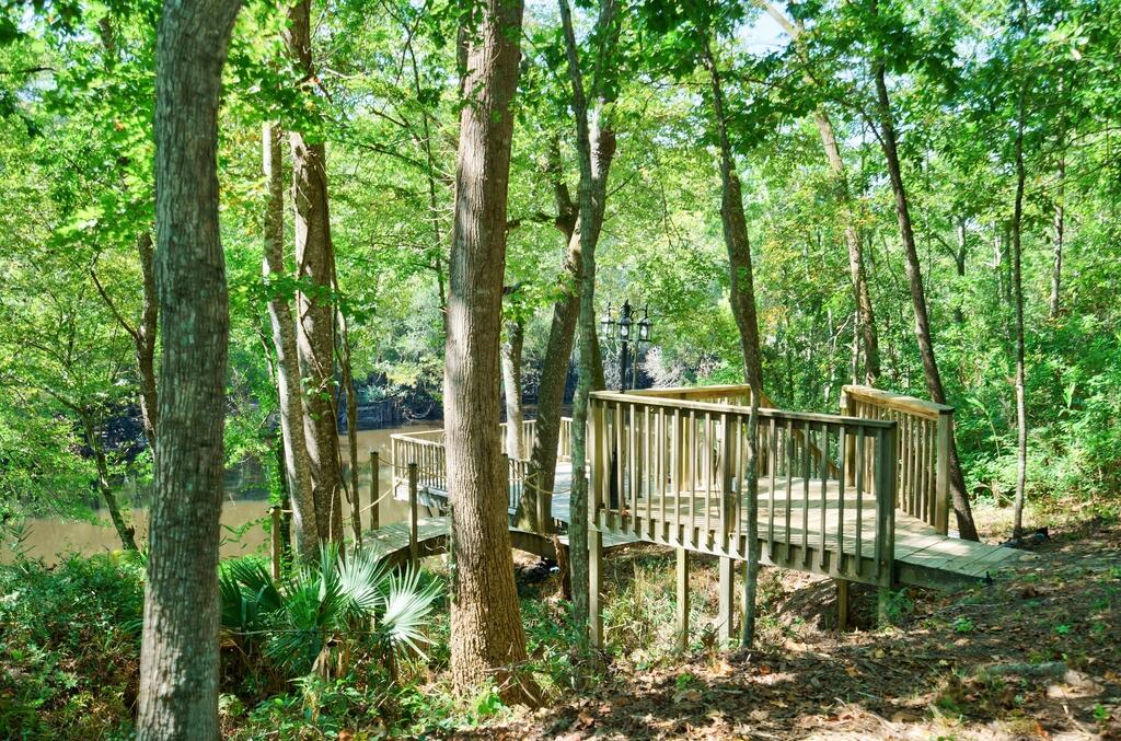 171 Chrystal Lane Ridgeville, SC 29472 - Photo 20 of 28 148 (2)