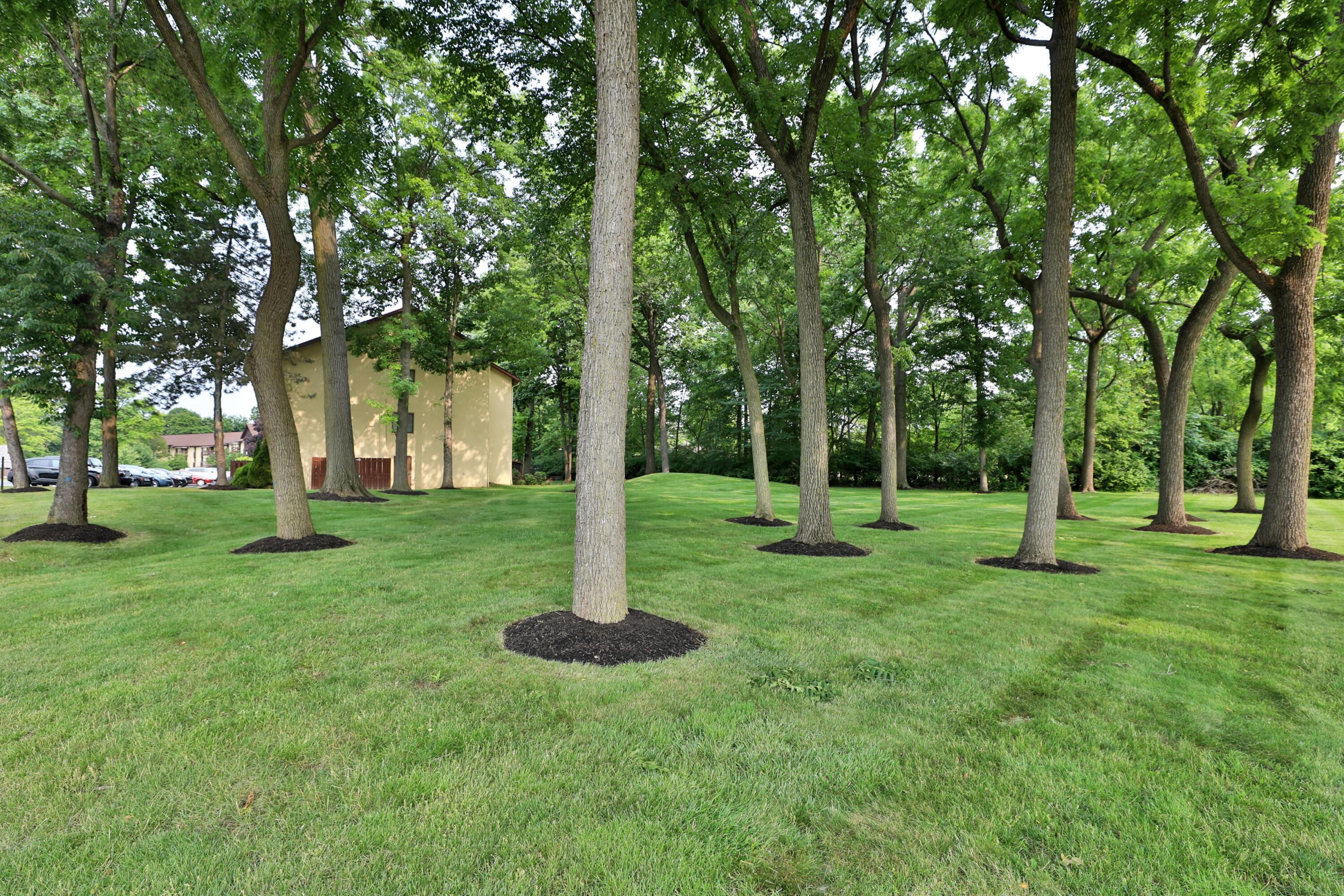 4119 Karl Road, Unit 305 Columbus, OH 43224 - Photo 6 of 37 4119Karl-305-03a