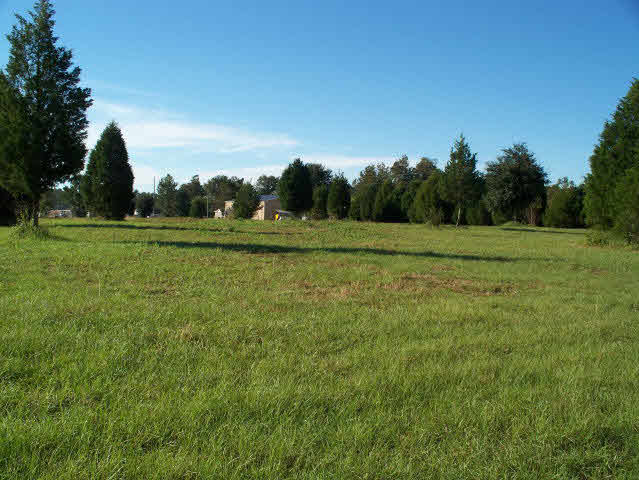 24776 South Rolling Green Road Elberta, AL 36530 - Photo 1 of 1