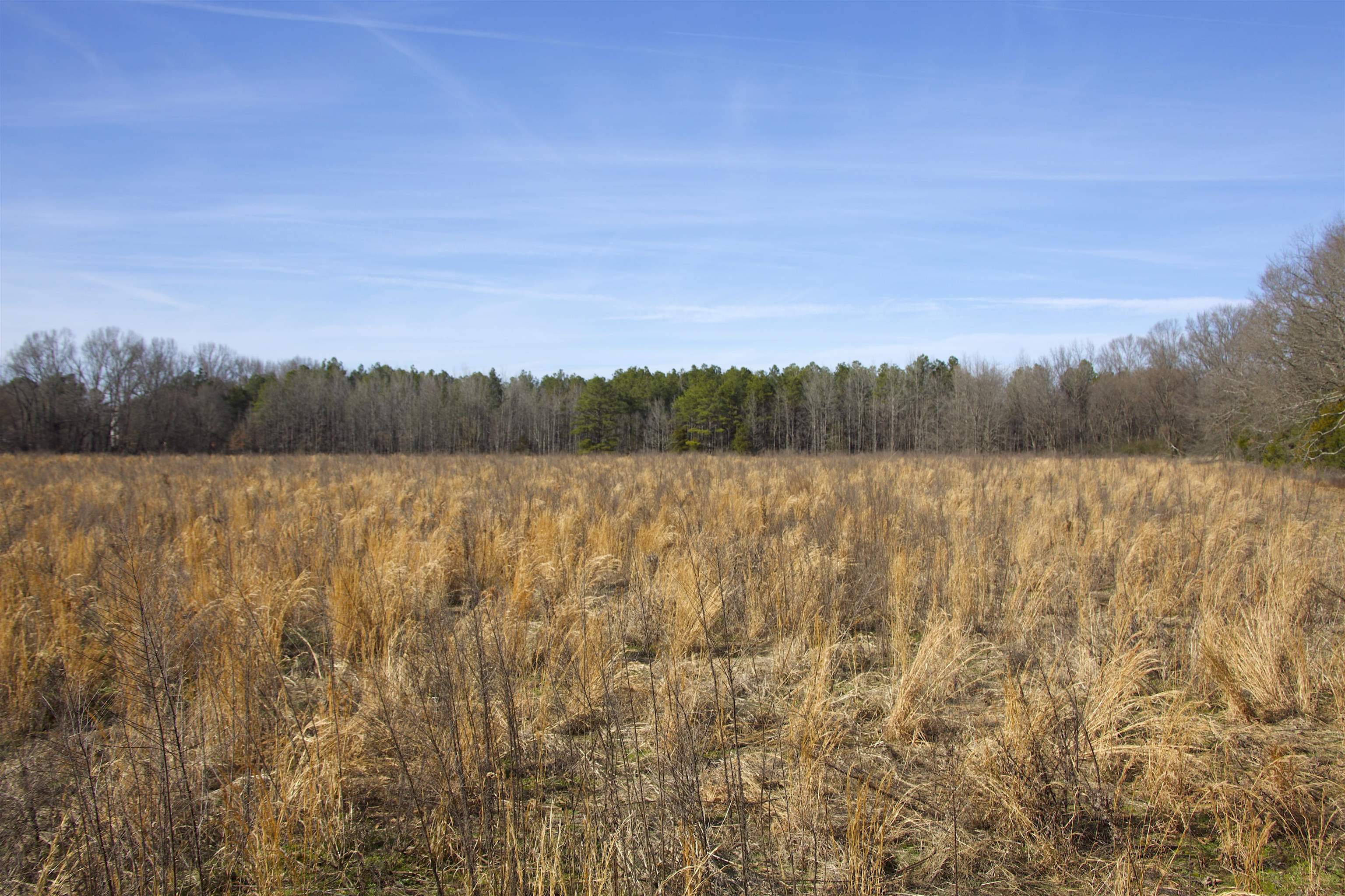 View of landscape featuring a rural view