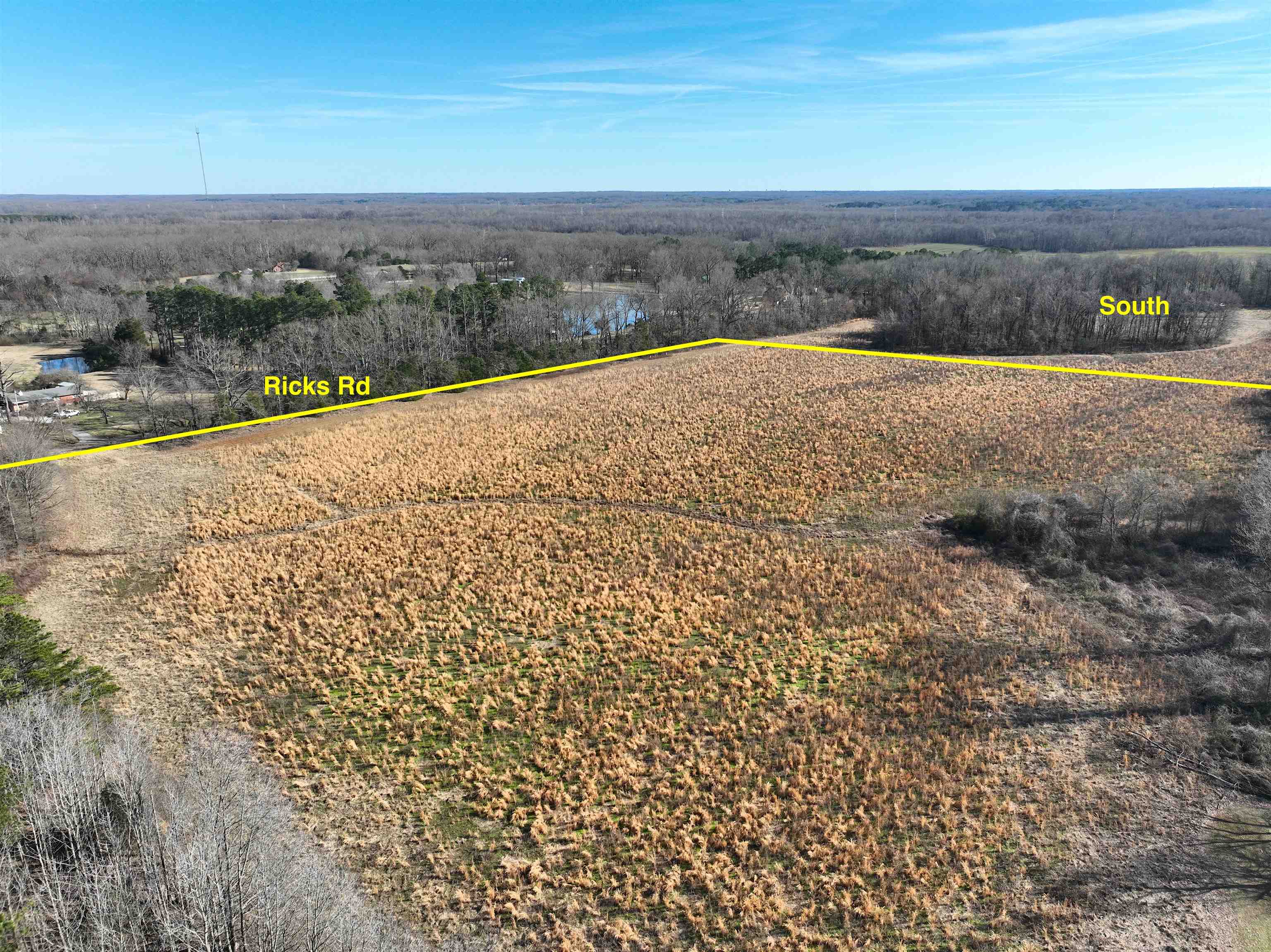6185 Ricks Road Arlington, TN 38002 - Photo 8 of 10 Birds eye view of property