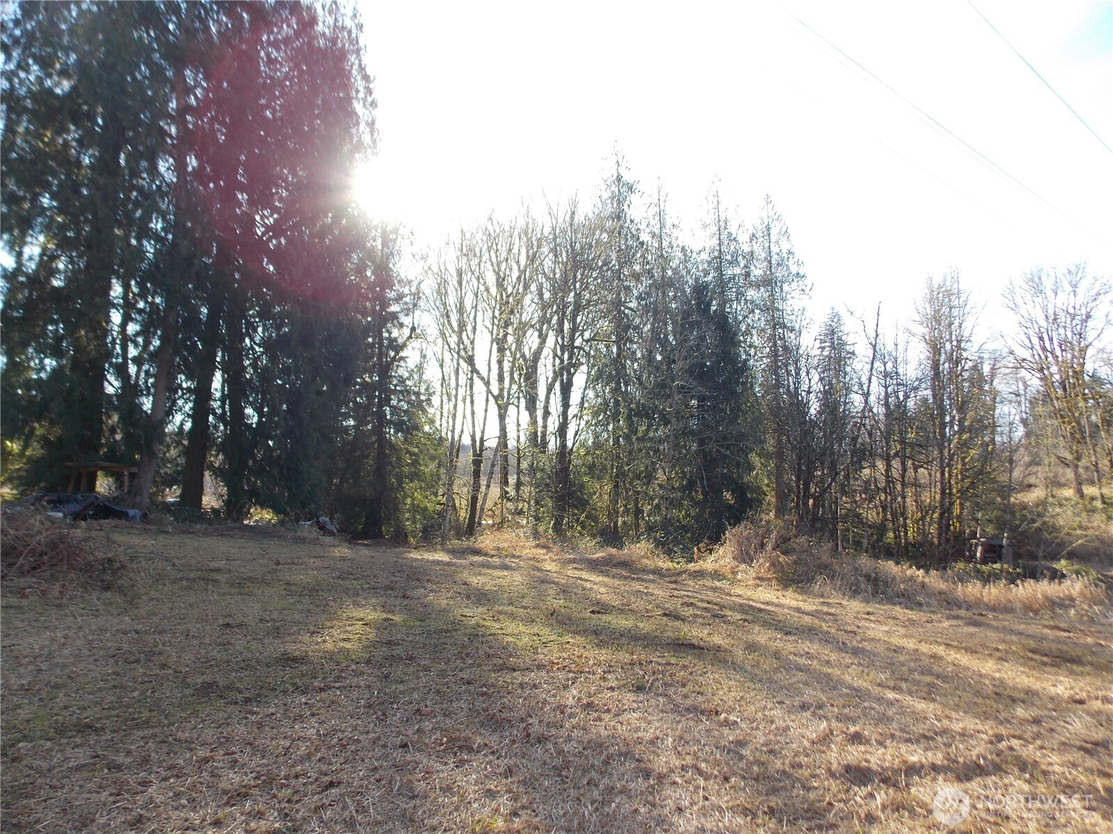 421 Young Road Mossyrock, WA 98564 - Photo 16 of 34 Gallery Image 16
