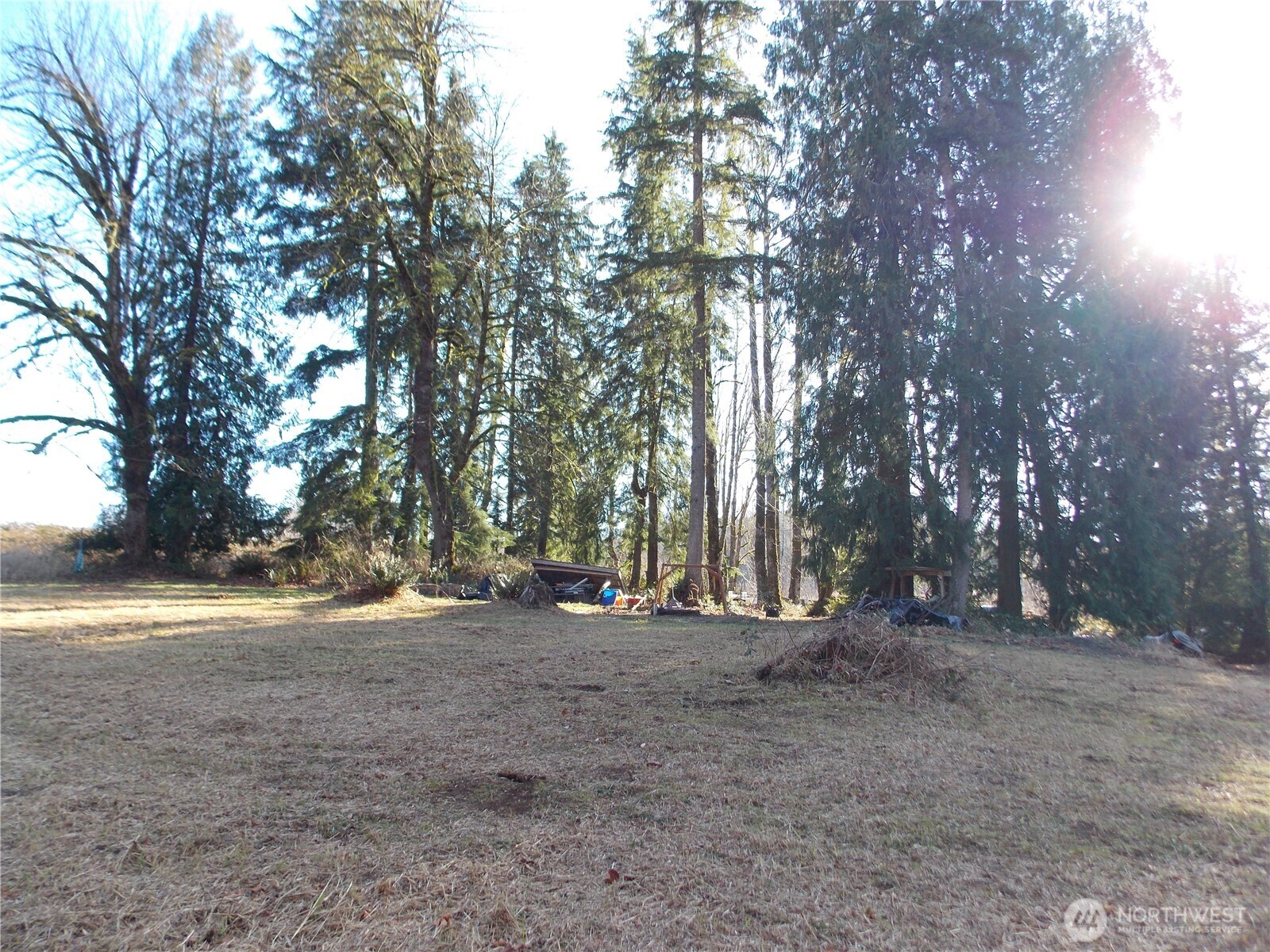 421 Young Road Mossyrock, WA 98564 - Photo 17 of 34 Gallery Image 17