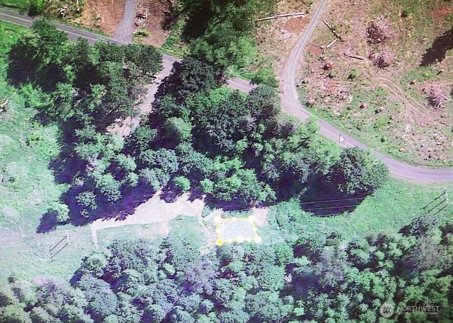 421 Young Road Mossyrock, WA 98564 - Photo 2 of 16