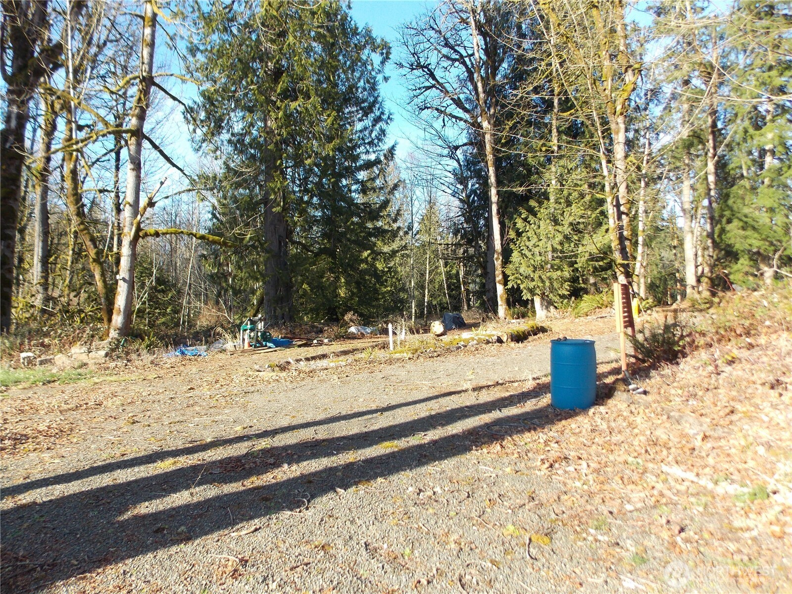 421 Young Road Mossyrock, WA 98564 - Photo 5 of 34 Gallery Image 5