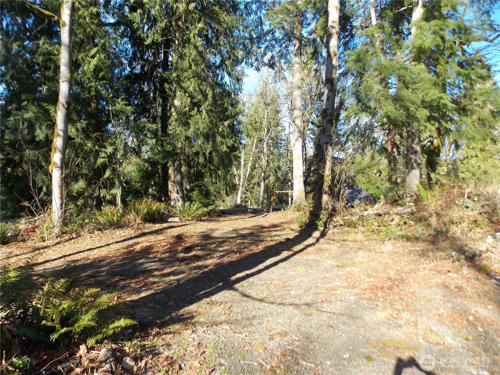421 Young Road Mossyrock, WA 98564 - Photo 7 of 34 Gallery Image 7