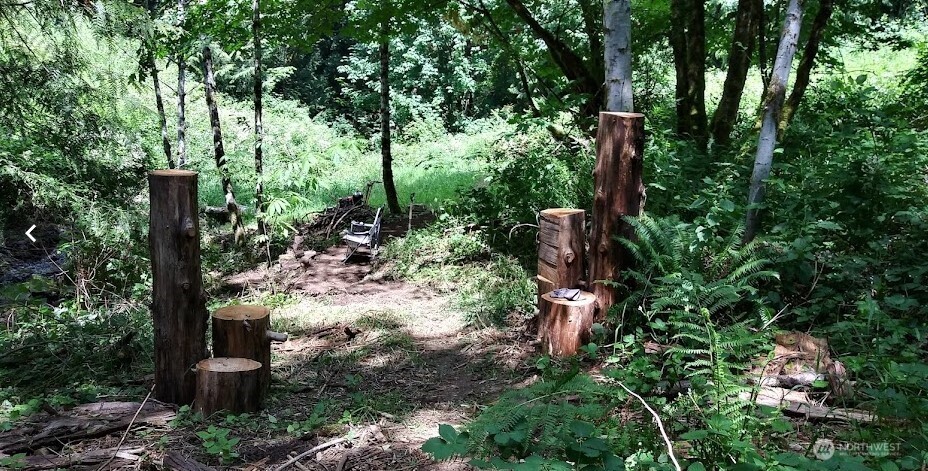 421 Young Road Mossyrock, WA 98564 - Photo 8 of 16