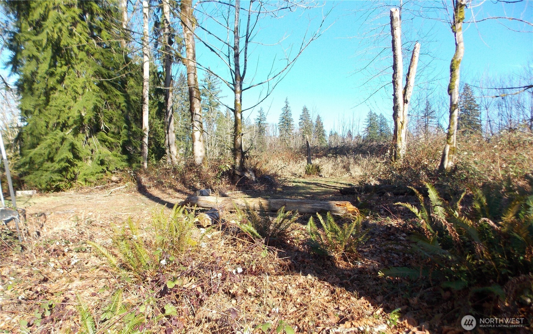 421 Young Road Mossyrock, WA 98564 - Photo 10 of 34 Gallery Image 10