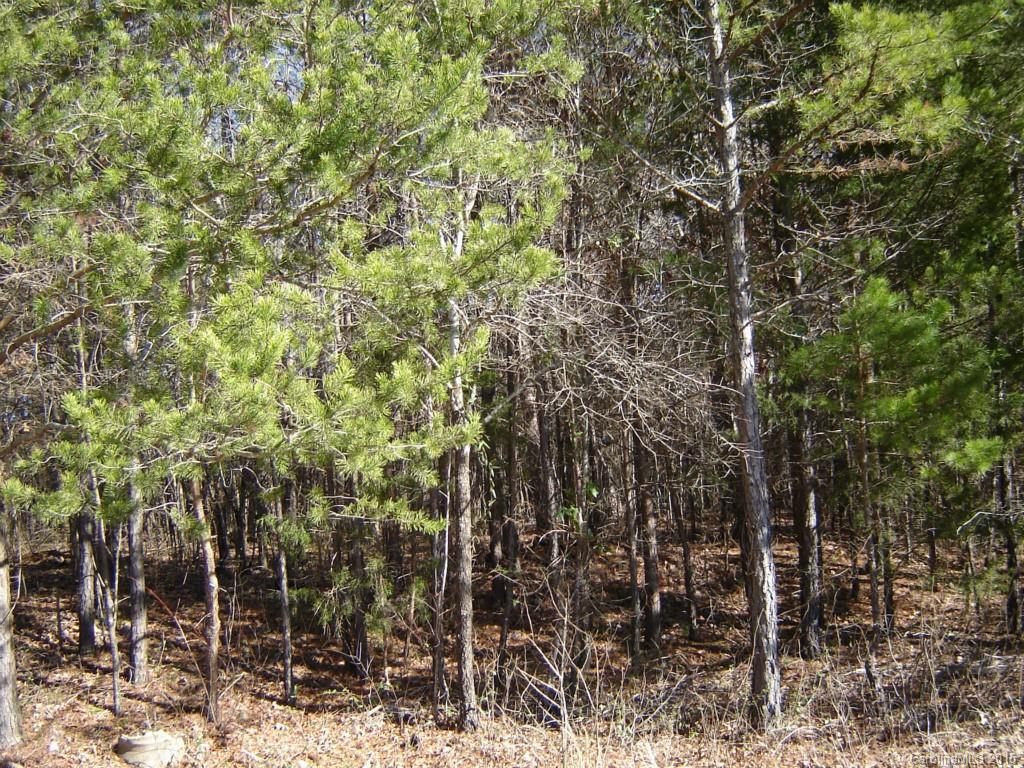 Lot 31 Plainview Road Monroe, NC 28110 - Photo 3 of 9 Gallery Image 3