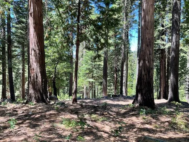 $49,000 | 1619 Shoshone Drive, Arnold, CA 95223