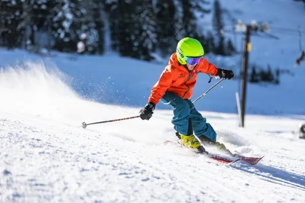 $49,000 | 1619 Shoshone Drive, Arnold, CA 95223