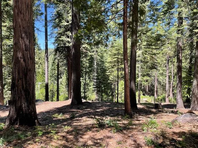 $49,000 | 1619 Shoshone Drive, Arnold, CA 95223