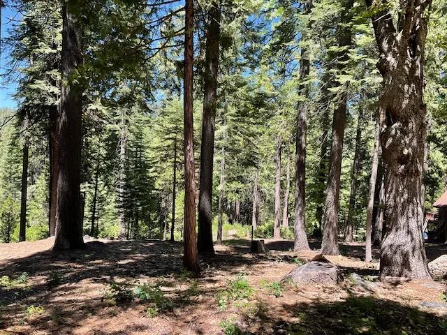 $49,000 | 1619 Shoshone Drive, Arnold, CA 95223