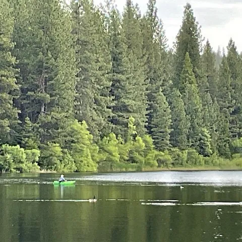 $49,000 | 1619 Shoshone Drive, Arnold, CA 95223