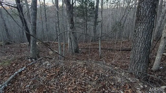 $159,000 | 0 County Road 714, Ellington, MO 63638