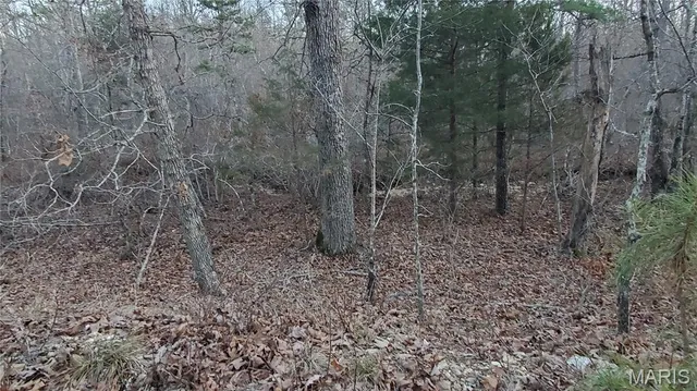 $159,000 | 0 County Road 714, Ellington, MO 63638