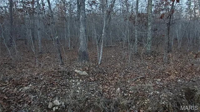 $159,000 | 0 County Road 714, Ellington, MO 63638