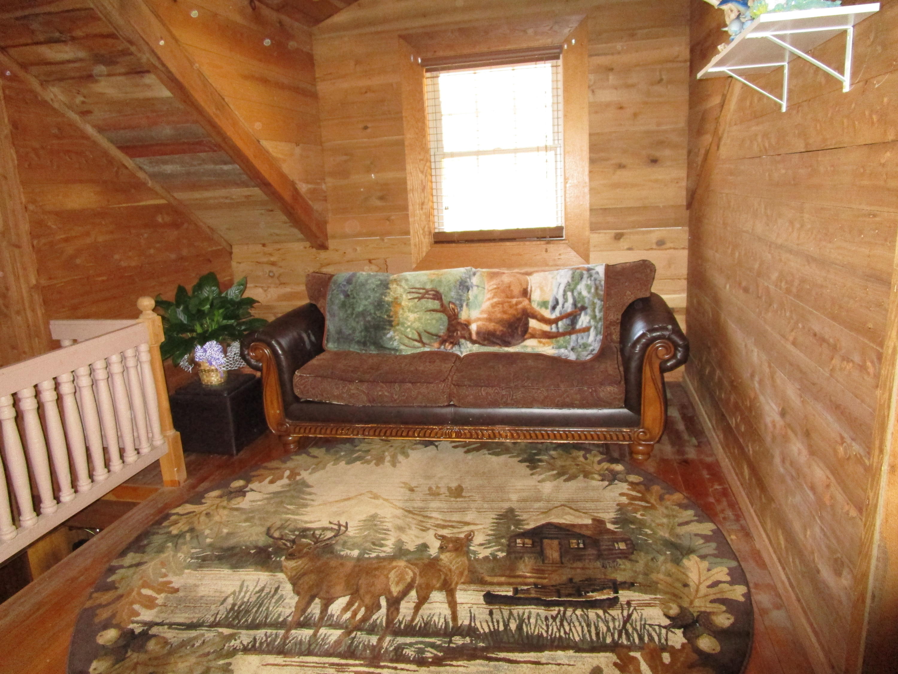 431 Dunville Gap Road Rutledge, TN 37861 - Photo 18 of 38 IMG_0020
