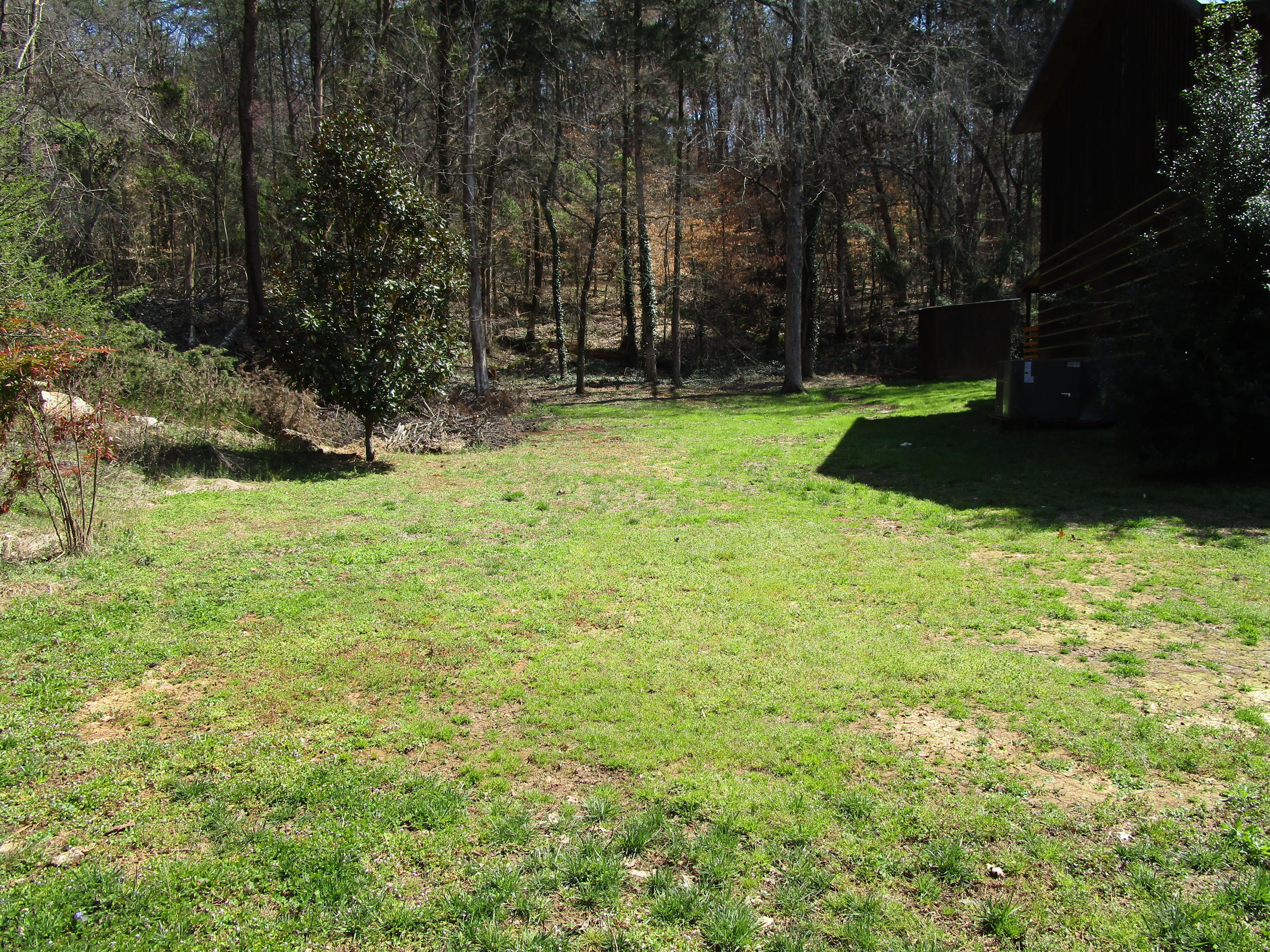 431 Dunville Gap Road Rutledge, TN 37861 - Photo 3 of 38 IMG_0052