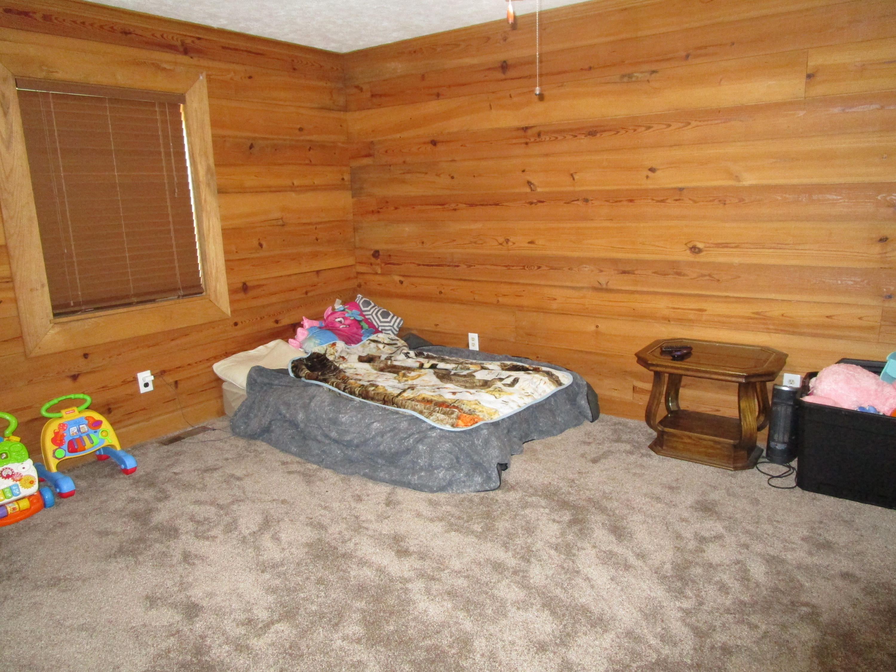 431 Dunville Gap Road Rutledge, TN 37861 - Photo 26 of 38 IMG_0011