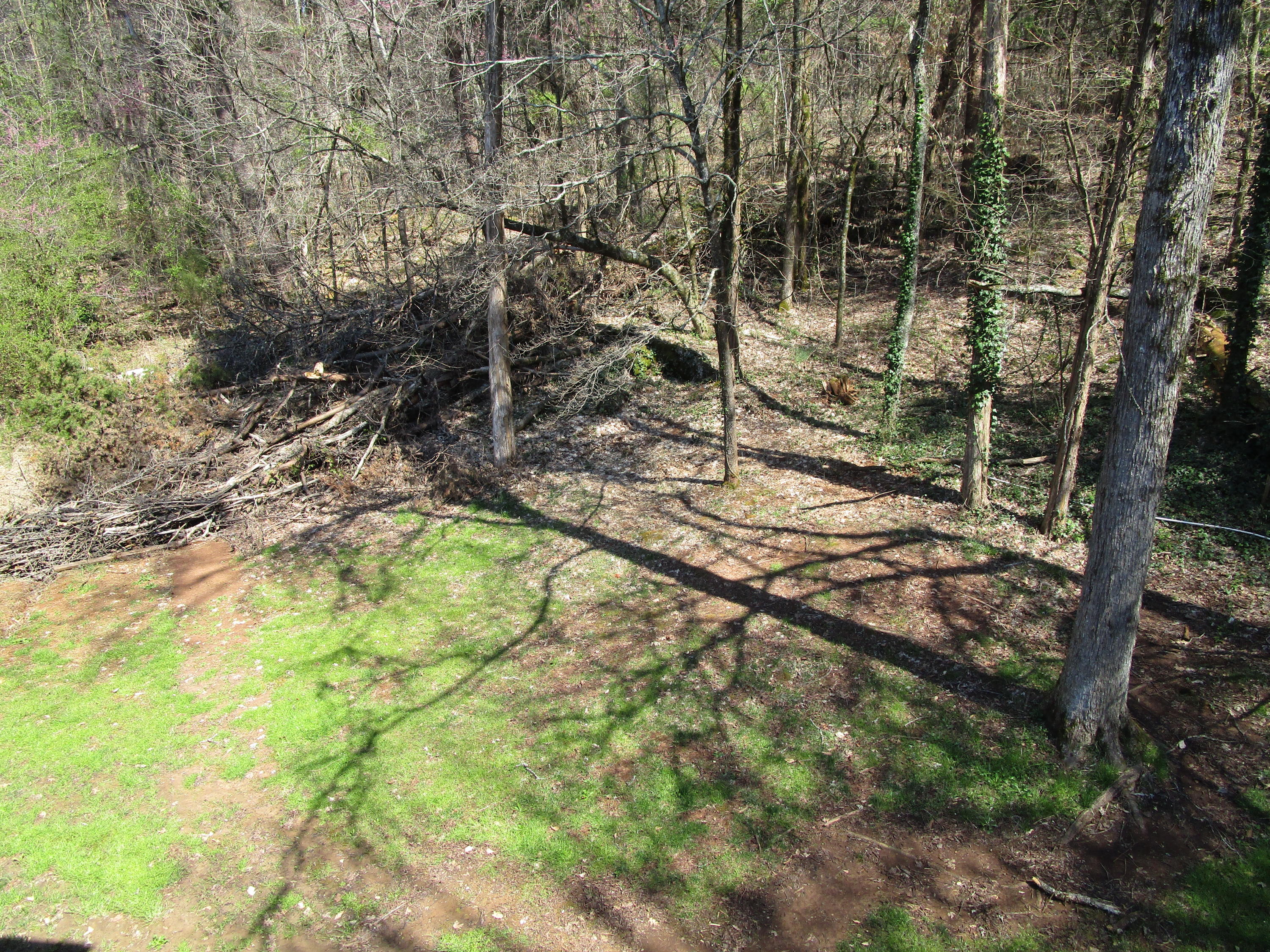 431 Dunville Gap Road Rutledge, TN 37861 - Photo 34 of 38 IMG_0031