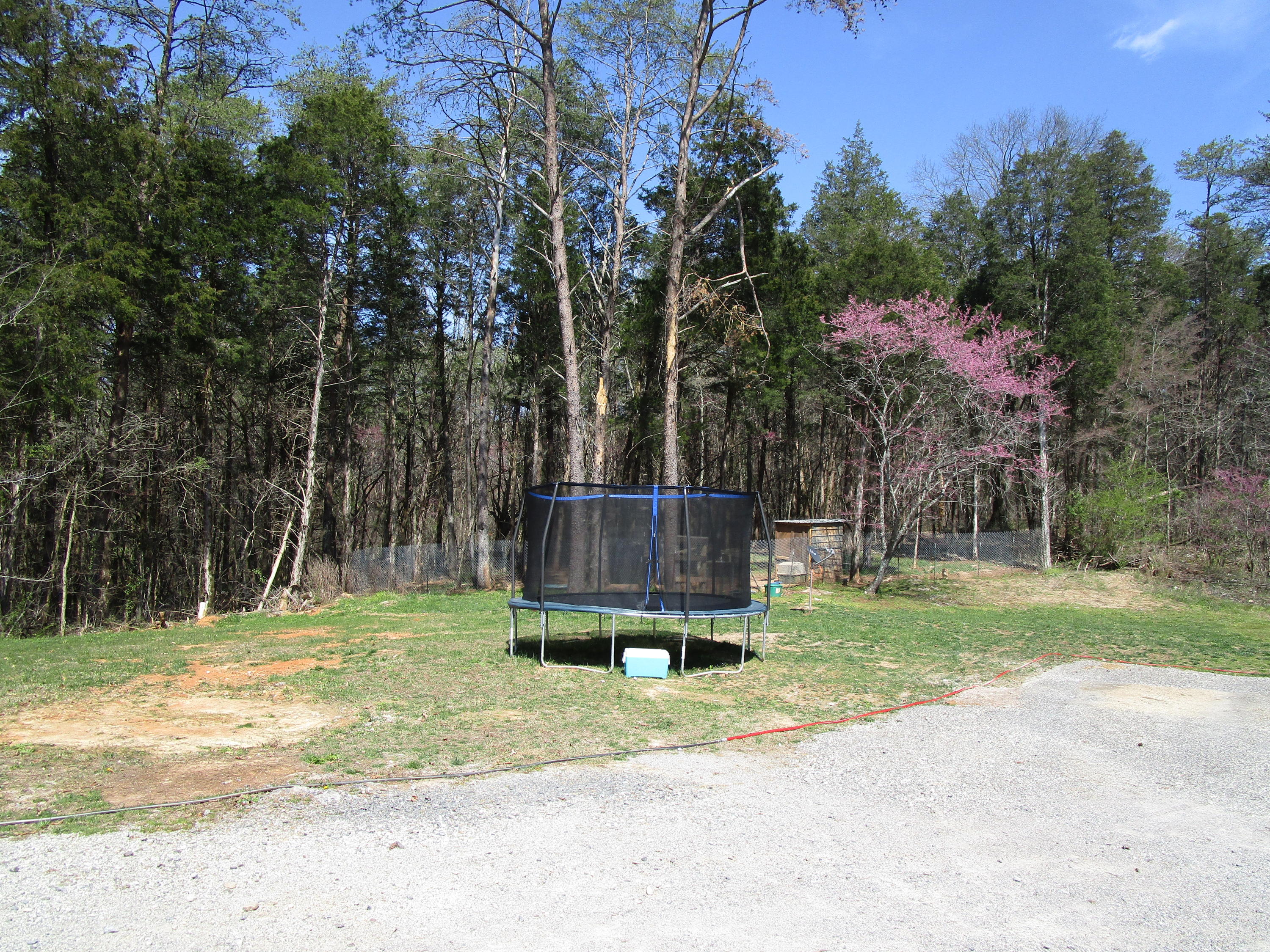 431 Dunville Gap Road Rutledge, TN 37861 - Photo 35 of 38 IMG_0056