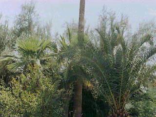 4040 North Swan Road Tucson, AZ 85718 - Photo 2 of 6