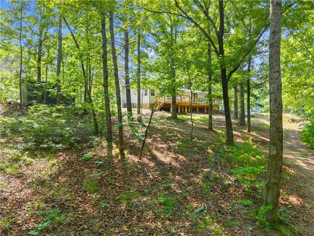 3501 Looper Lake Road Gainesville, GA 30506 - Photo 42 of 47 Gallery Image 42