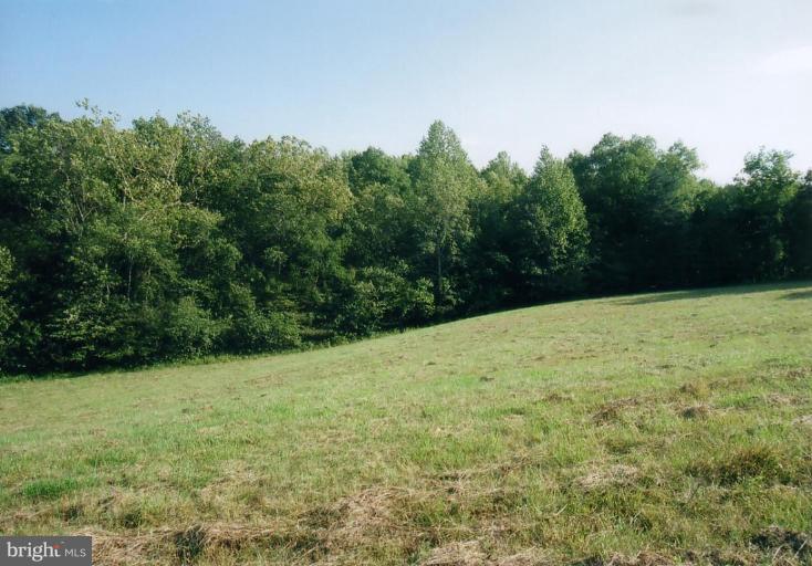 5693 Beverleys Mill Road Broad Run, VA 20137 - Photo 3 of 6 Wooded View / Acreage 2