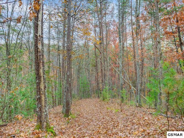 4357 Wilhite Road Cosby, TN 37722 - Photo 25 of 35 Gallery Image 25