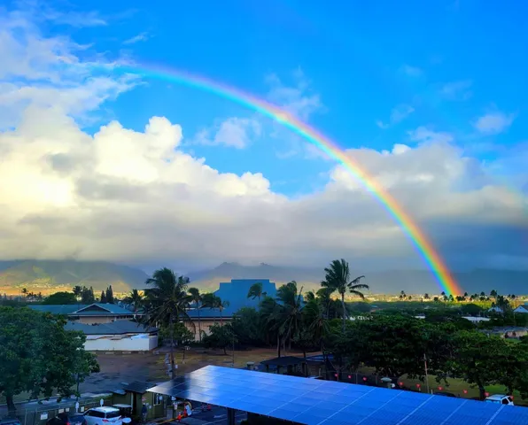 a view of a lake with a city