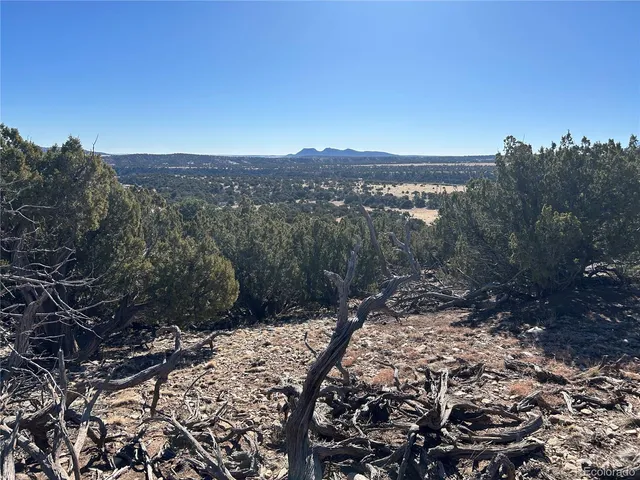 $44,999 | Lot 62 Cl&g, Unit BB, Gardner, CO 81040