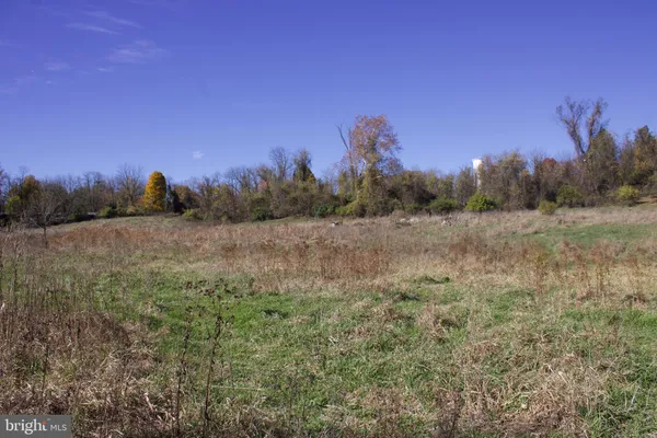 a view of a field