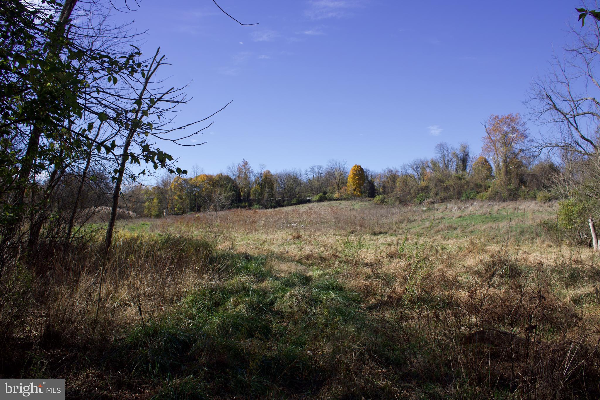 Grantham Road Mechanicsburg, PA 17055 - Photo 6 of 13 a view of a forest filled with trees