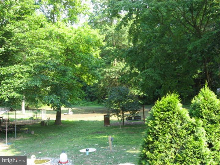 232 Fenwick Road Mannington, NJ 08098 - Photo 19 of 20 Back Yard