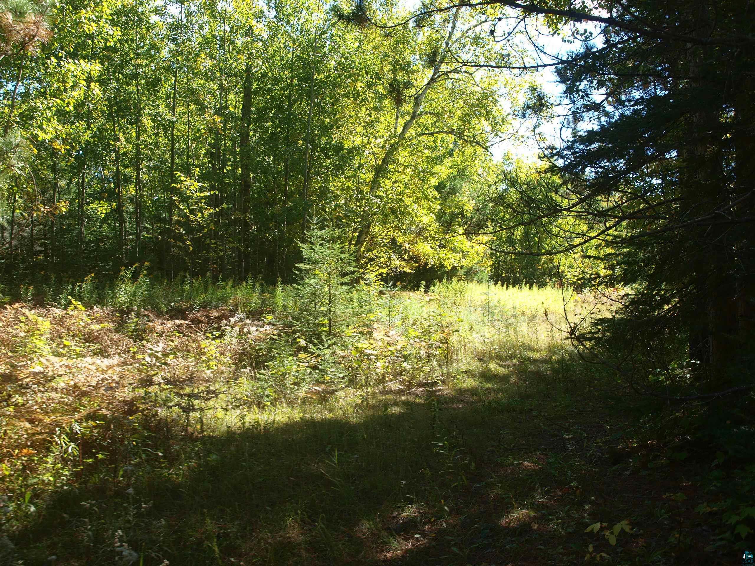 2119 Twin Lakes Road Ely, MN 55731 - Photo 2 of 8 Gallery Image 2