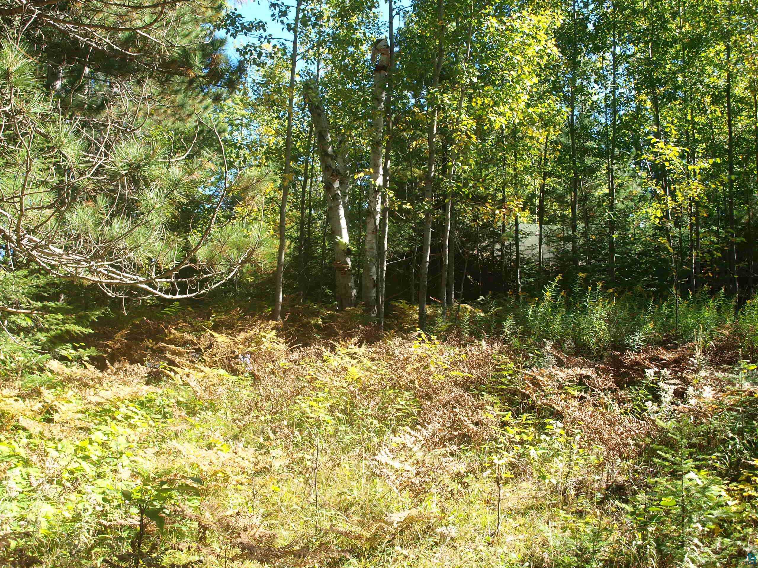 2119 Twin Lakes Road Ely, MN 55731 - Photo 3 of 8 Gallery Image 3