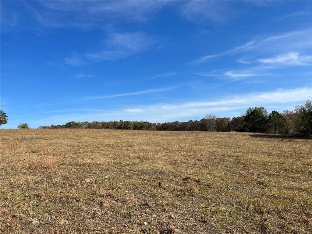 0 Hart Road Anderson, SC 29621 - Photo 1 of 12 Gallery Image 1