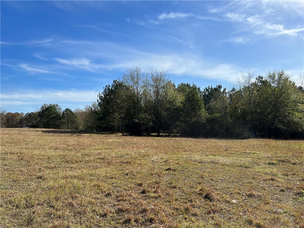 0 Hart Road Anderson, SC 29621 - Photo 3 of 12 Gallery Image 3
