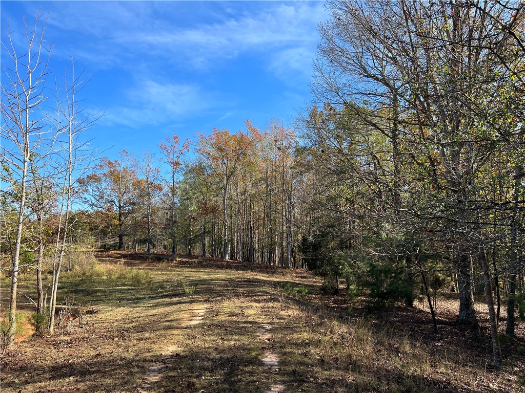 0 Hart Road Anderson, SC 29621 - Photo 4 of 12 Gallery Image 4