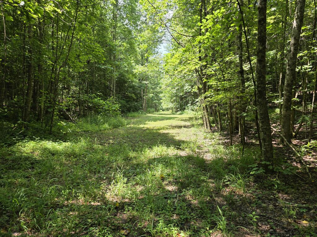 34.98 Hall Road Farner, TN 37333 - Photo 21 of 45 Gallery Image 21