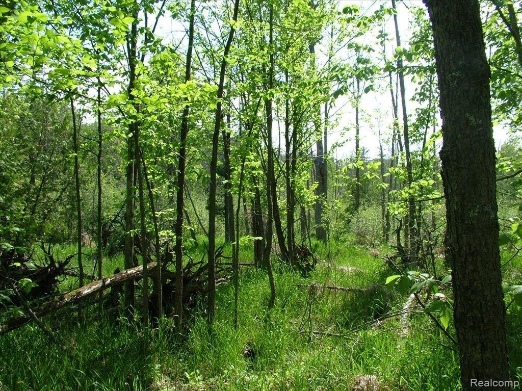 5950 Hasslick Road North Branch, MI 48461 - Photo 8 of 9 DSCF4468