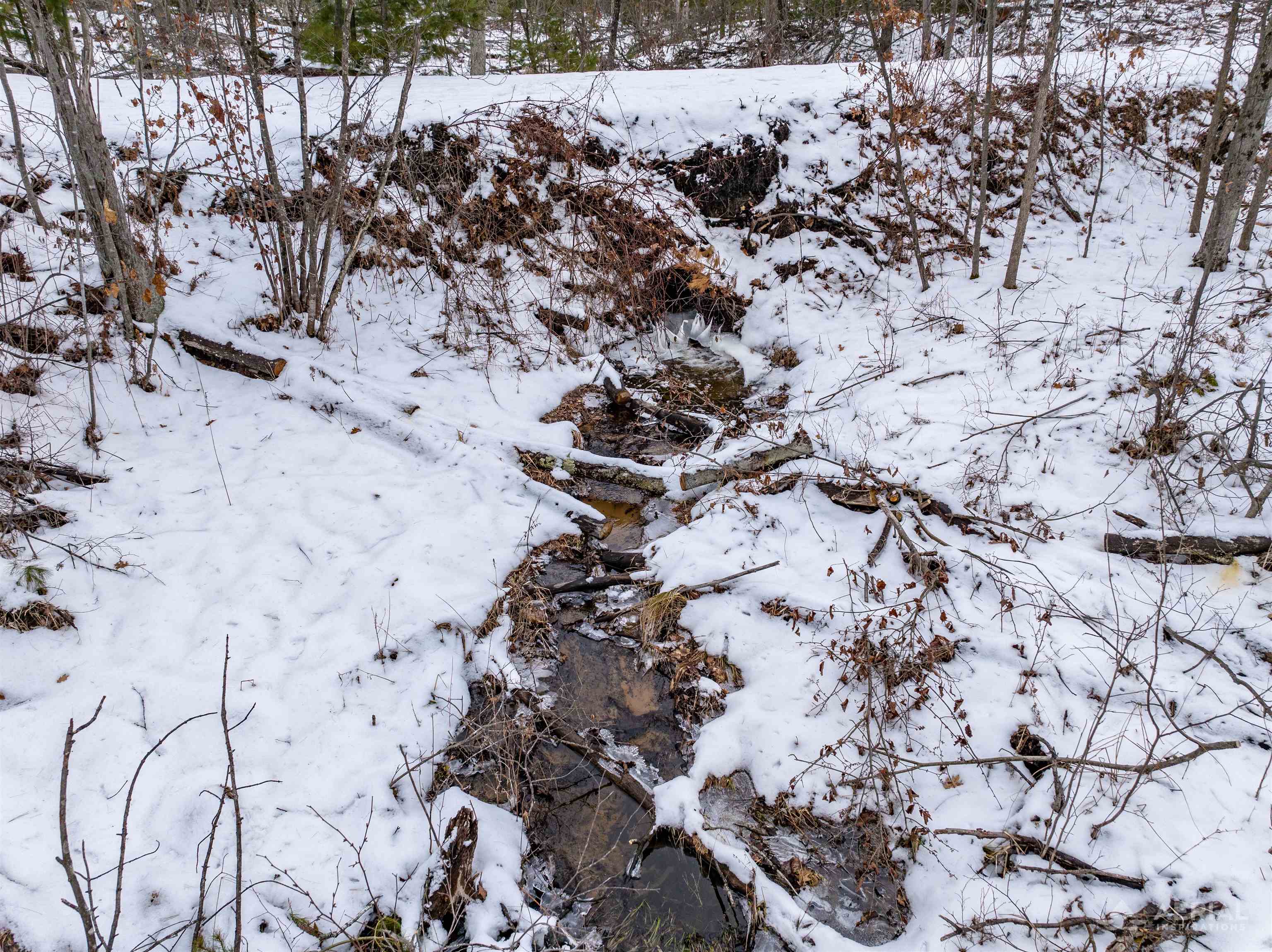 0 East Greenwood Road Prescott, MI 48756 - Photo 7 of 11