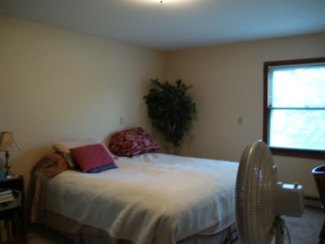 33 East Marlette Road Frederic, MI 49733 - Photo 10 of 12 Gallery Image 10