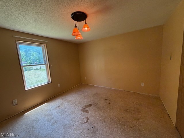 3618 Columbiana Road New Springfield, OH 44443 - Photo 13 of 18