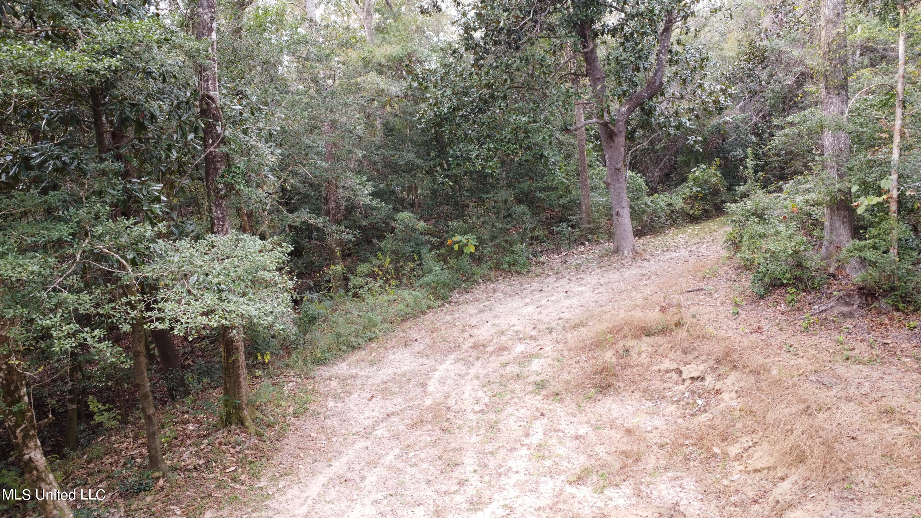 21335 West Mitchell Road Saucier, MS 39574 - Photo 18 of 32 CYDF0982