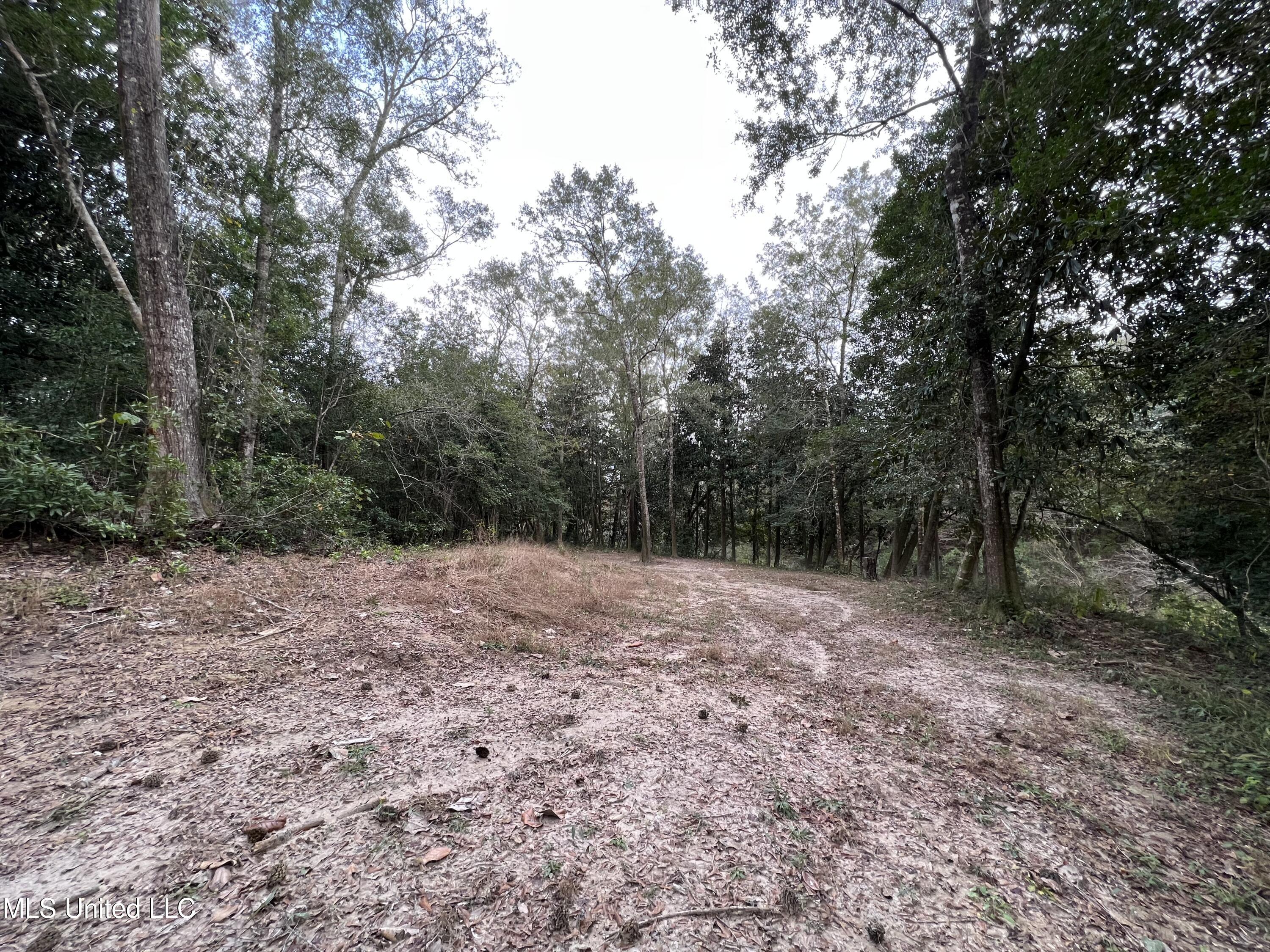 21335 West Mitchell Road Saucier, MS 39574 - Photo 24 of 32 IMG_8393