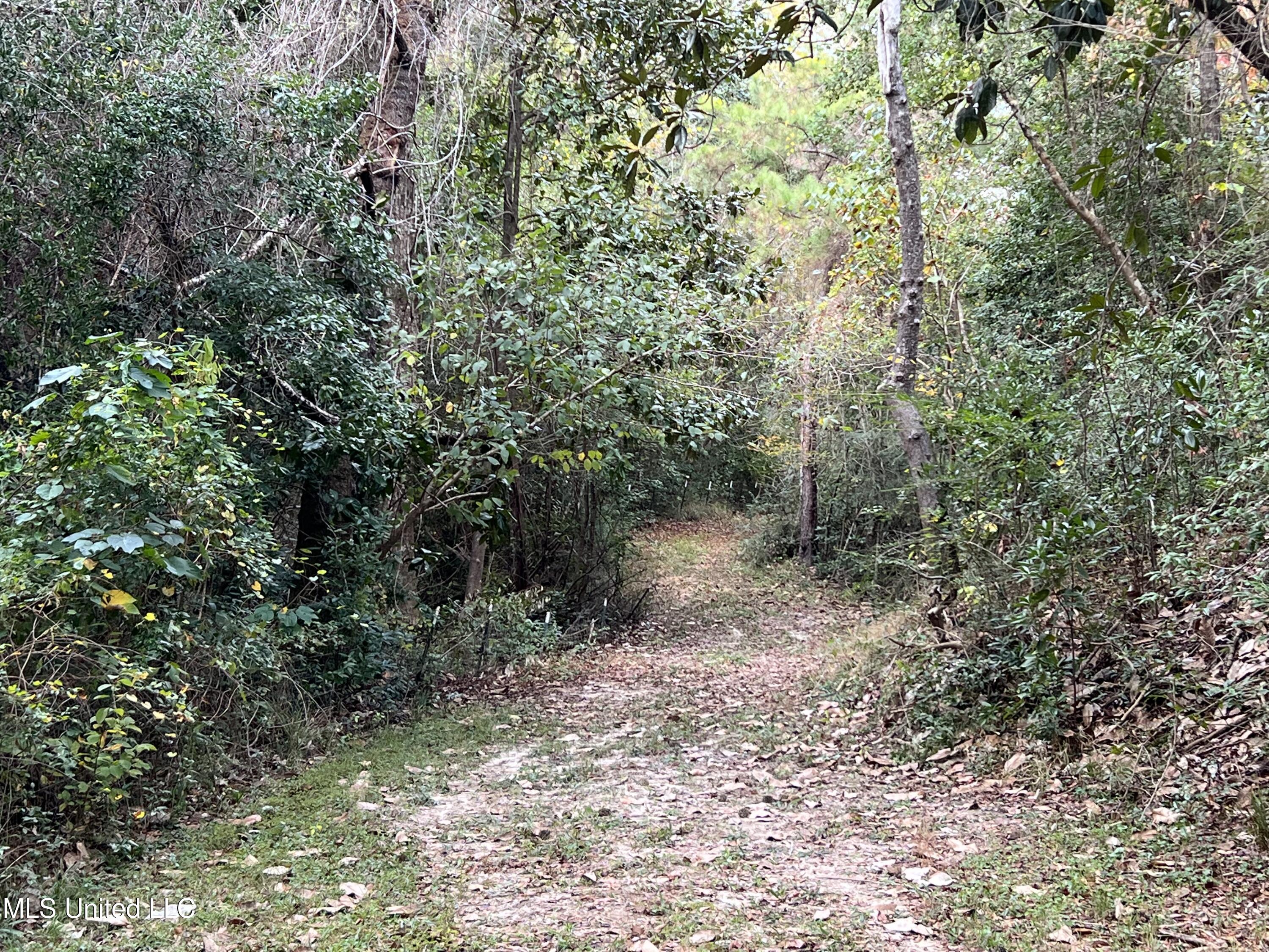 21335 West Mitchell Road Saucier, MS 39574 - Photo 27 of 32 IMG_8403